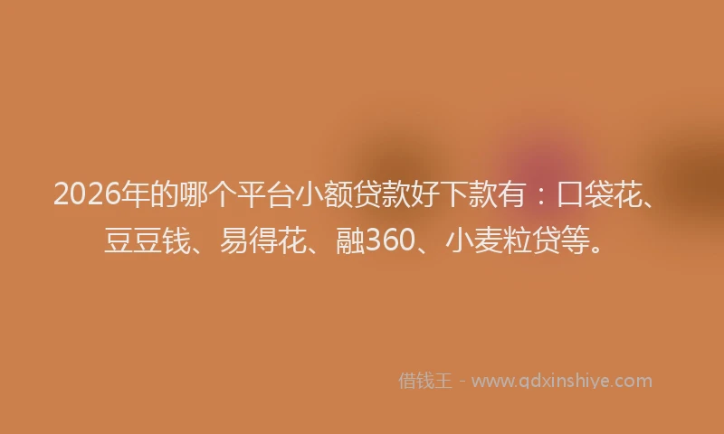 2026年的哪个平台小额贷款好下款有：口袋花、豆豆钱、易得花、融360、小麦粒贷等。
