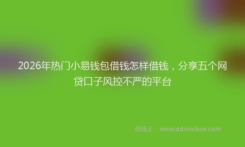 2026年热门小易钱包借钱怎样借钱，分享五个网贷口子风控不严的平台
