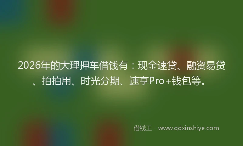 2026年的大理押车借钱有：现金速贷、融资易贷、拍拍用、时光分期、速享Pro+钱包等。