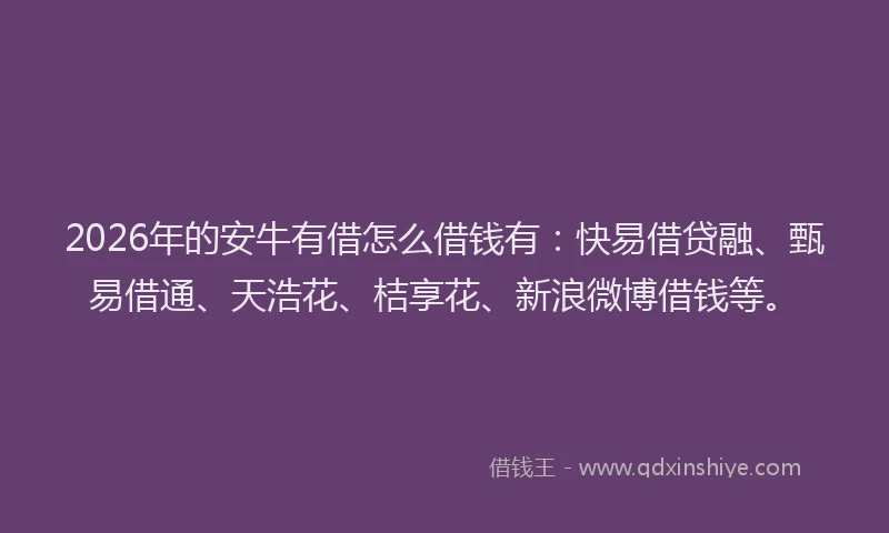 2026年的安牛有借怎么借钱有：快易借贷融、甄易借通、天浩花、桔享花、新浪微博借钱等。