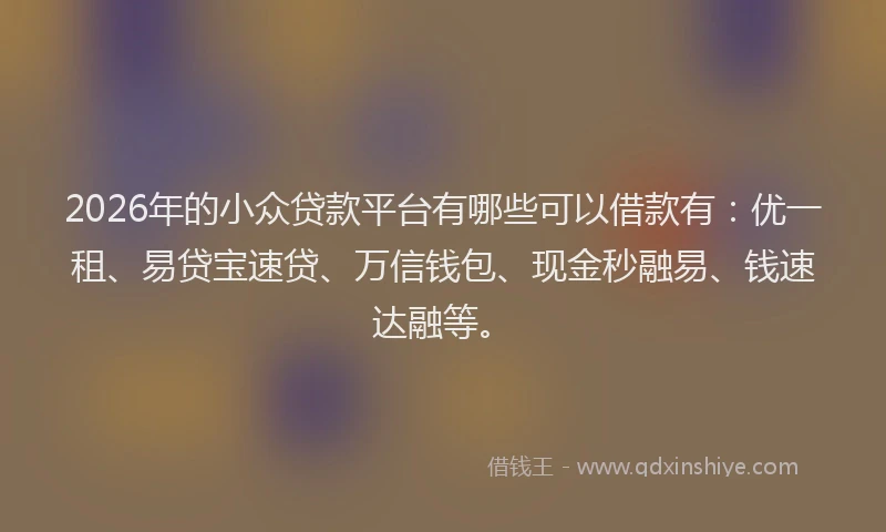 2026年的小众贷款平台有哪些可以借款有：优一租、易贷宝速贷、万信钱包、现金秒融易、钱速达融等。