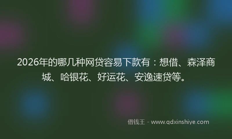 2026年的哪几种网贷容易下款有：想借、森泽商城、哈银花、好运花、安逸速贷等。