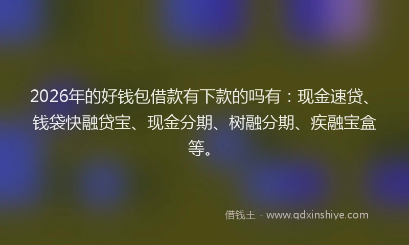 2026年的好钱包借款有下款的吗有：现金速贷、钱袋快融贷宝、现金分期、树融分期、疾融宝盒等。