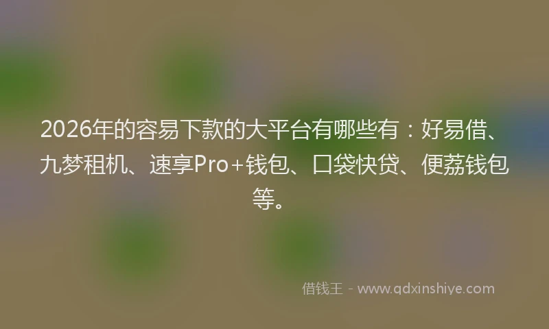 2026年的容易下款的大平台有哪些有：好易借、九梦租机、速享Pro+钱包、口袋快贷、便荔钱包等。