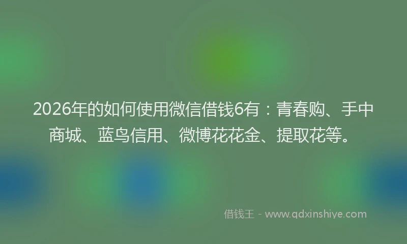 2026年的如何使用微信借钱6有:青春购、手中商城、蓝鸟信用、微博花花金、提取花等。