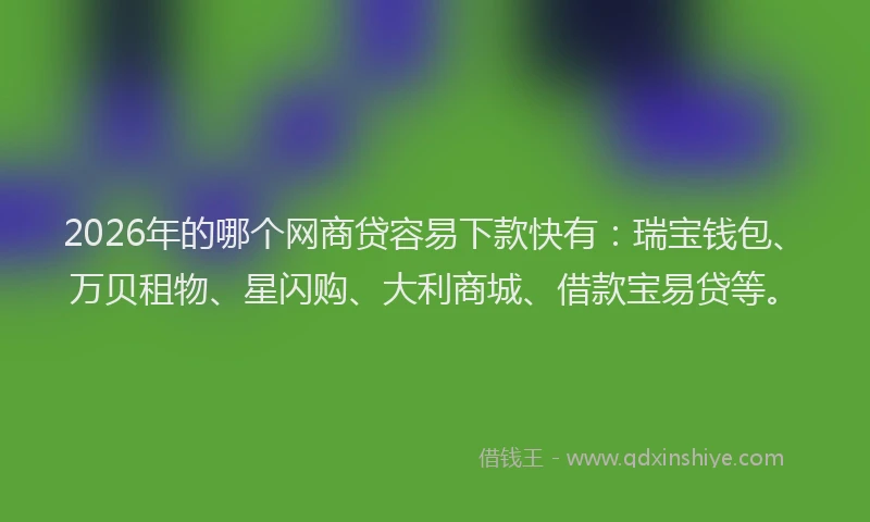 2026年的哪个网商贷容易下款快有：瑞宝钱包、万贝租物、星闪购、大利商城、借款宝易贷等。