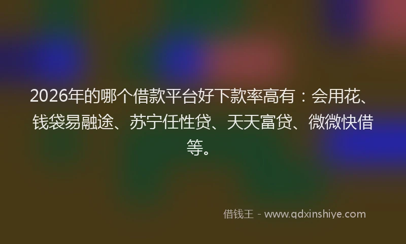 2026年的哪个借款平台好下款率高有：会用花、钱袋易融途、苏宁任性贷、天天富贷、微微快借等。