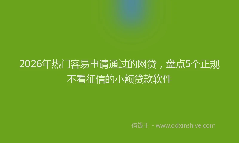 2026年热门容易申请通过的网贷,盘点5个正规不看征信的小额贷款软件