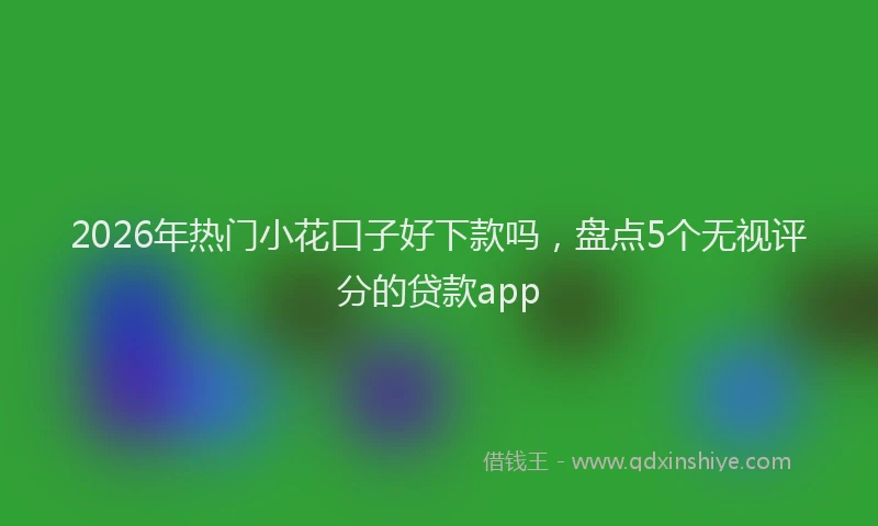 2026年热门小花口子好下款吗,盘点5个无视评分的贷款app