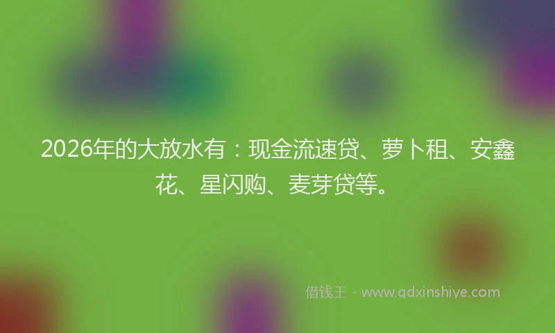 2026年的大放水有：现金流速贷、萝卜租、安鑫花、星闪购、麦芽贷等。