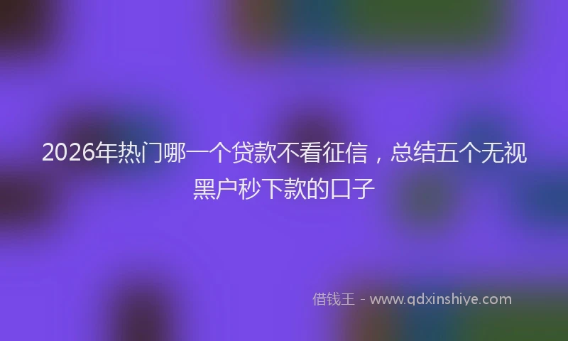 2026年热门哪一个贷款不看征信，总结五个无视黑户秒下款的口子