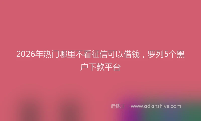 2026年热门哪里不看征信可以借钱，罗列5个黑户下款平台