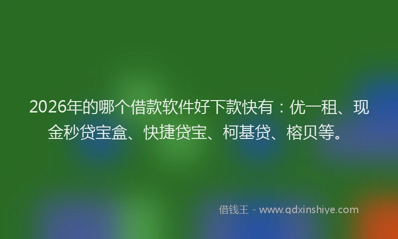 2026年的哪个借款软件好下款快有：优一租、现金秒贷宝盒、快捷贷宝、柯基贷、榕贝等。
