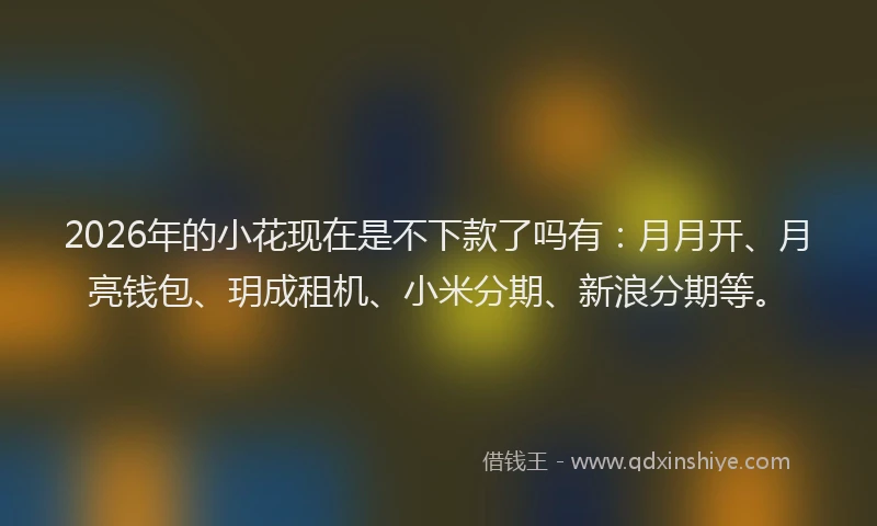 2026年的小花现在是不下款了吗有：月月开、月亮钱包、玥成租机、小米分期、新浪分期等。