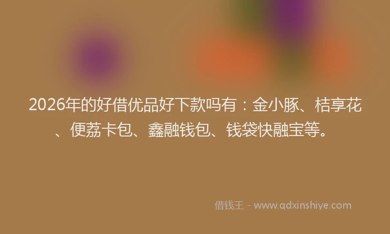 2026年的好借优品好下款吗有：金小豚、桔享花、便荔卡包、鑫融钱包、钱袋快融宝等。