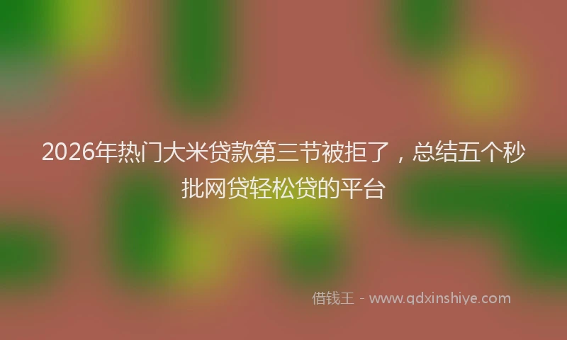 2026年热门大米贷款第三节被拒了，总结五个秒批网贷轻松贷的平台
