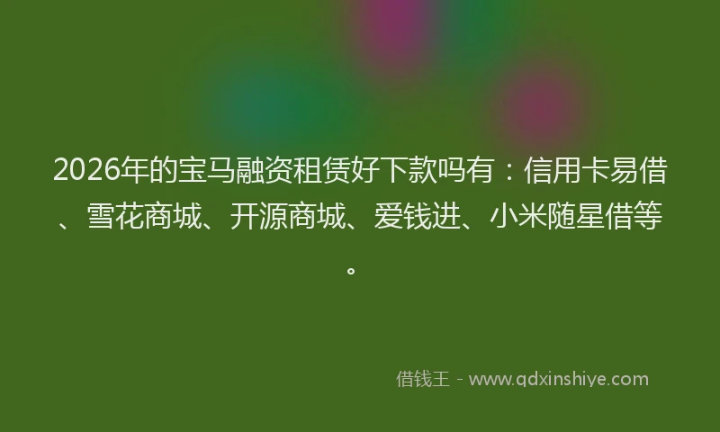 2026年的宝马融资租赁好下款吗有:信用卡易借、雪花商城、开源商城、爱钱进、小米随星借等。