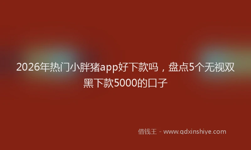 2026年热门小胖猪app好下款吗,盘点5个无视双黑下款5000的口子