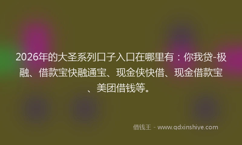 2026年的大圣系列口子入口在哪里有：你我贷-极融、借款宝快融通宝、现金侠快借、现金借款宝、美团借钱等。