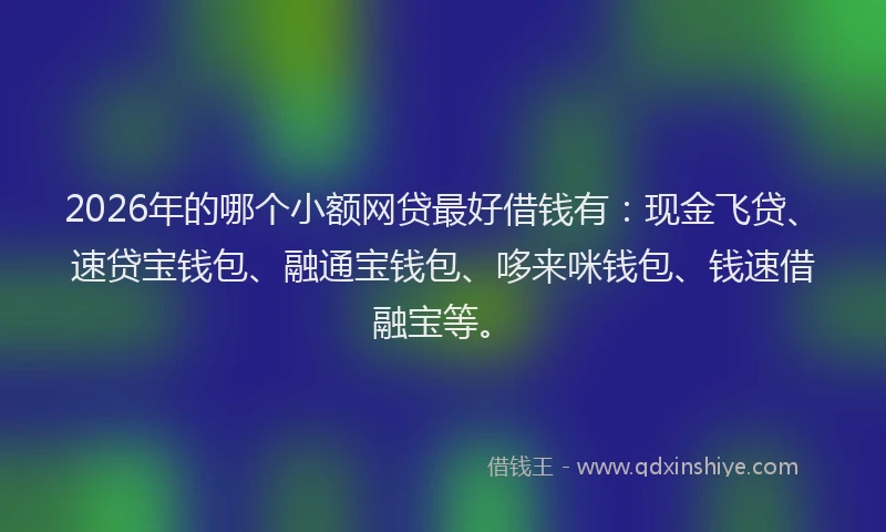 2026年的哪个小额网贷最好借钱有：现金飞贷、速贷宝钱包、融通宝钱包、哆来咪钱包、钱速借融宝等。
