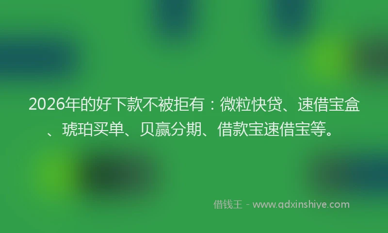 2026年的好下款不被拒有：微粒快贷、速借宝盒、琥珀买单、贝赢分期、借款宝速借宝等。