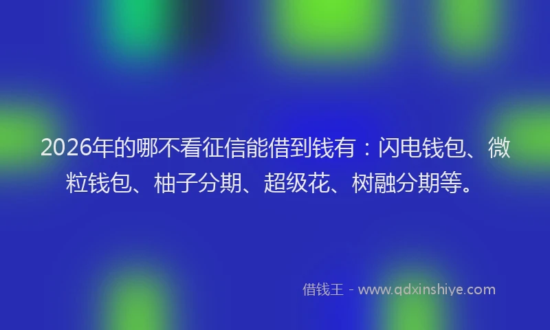 2026年的哪不看征信能借到钱有：闪电钱包、微粒钱包、柚子分期、超级花、树融分期等。