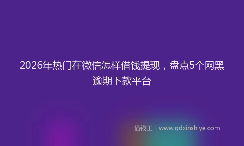 2026年热门在微信怎样借钱提现，盘点5个网黑逾期下款平台