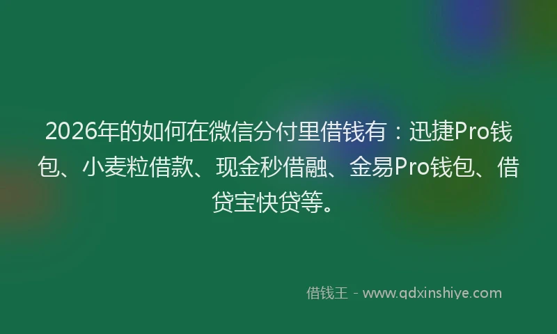 2026年的如何在微信分付里借钱有：迅捷Pro钱包、小麦粒借款、现金秒借融、金易Pro钱包、借贷宝快贷等。