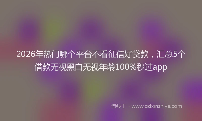 2026年热门哪个平台不看征信好贷款，汇总5个借款无视黑白无视年龄100%秒过app
