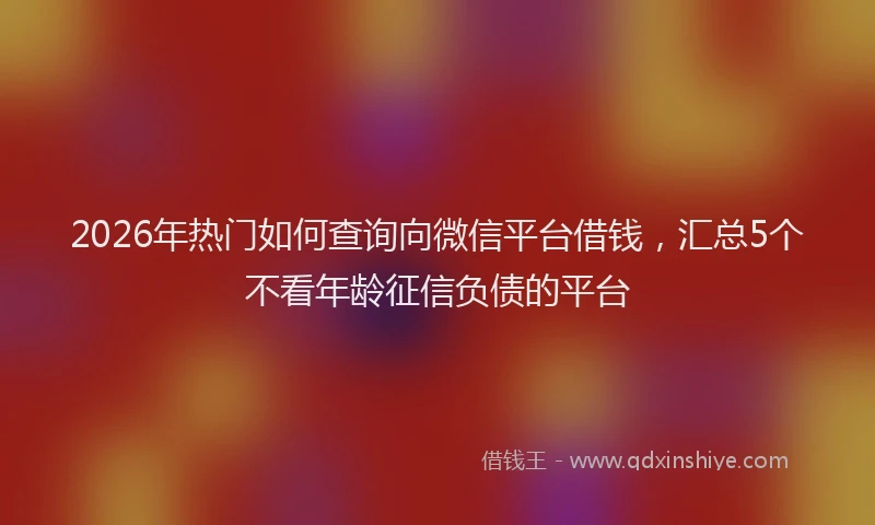 2026年热门如何查询向微信平台借钱，汇总5个不看年龄征信负债的平台