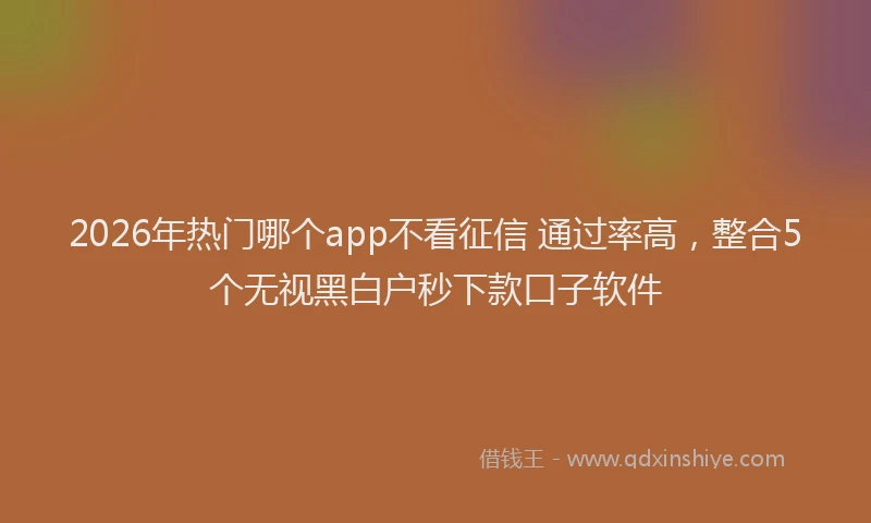 2026年热门哪个app不看征信 通过率高，整合5个无视黑白户秒下款口子软件
