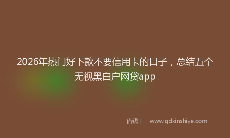 2026年热门好下款不要信用卡的口子，总结五个无视黑白户网贷app