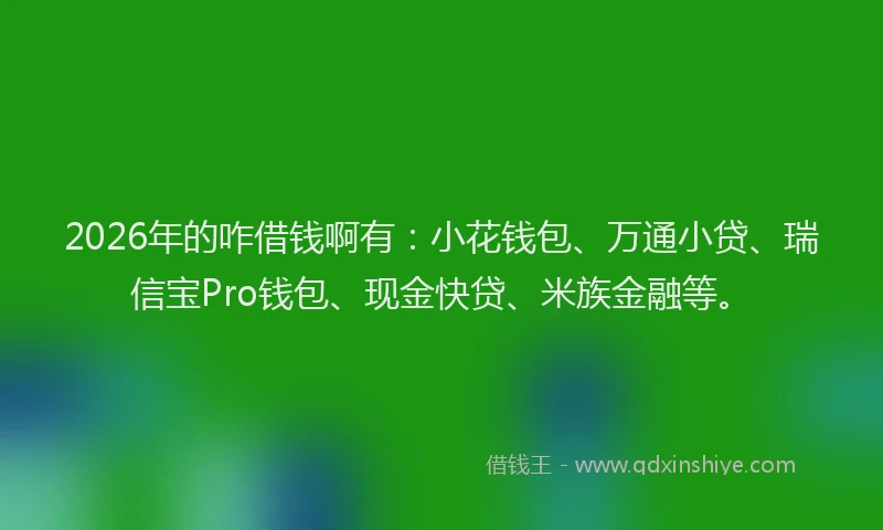 2026年的咋借钱啊有：小花钱包、万通小贷、瑞信宝Pro钱包、现金快贷、米族金融等。