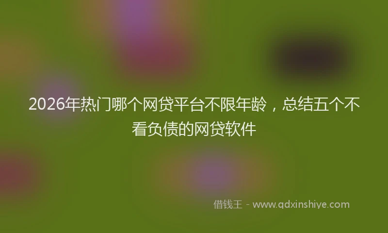 2026年热门哪个网贷平台不限年龄，总结五个不看负债的网贷软件