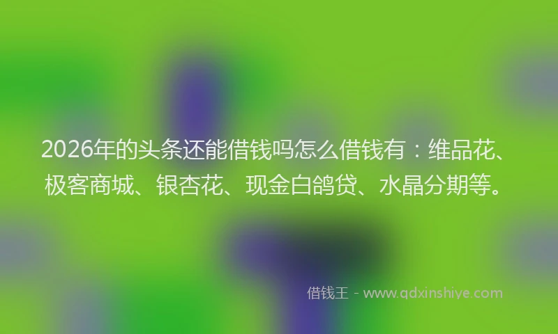 2026年的头条还能借钱吗怎么借钱有：维品花、极客商城、银杏花、现金白鸽贷、水晶分期等。