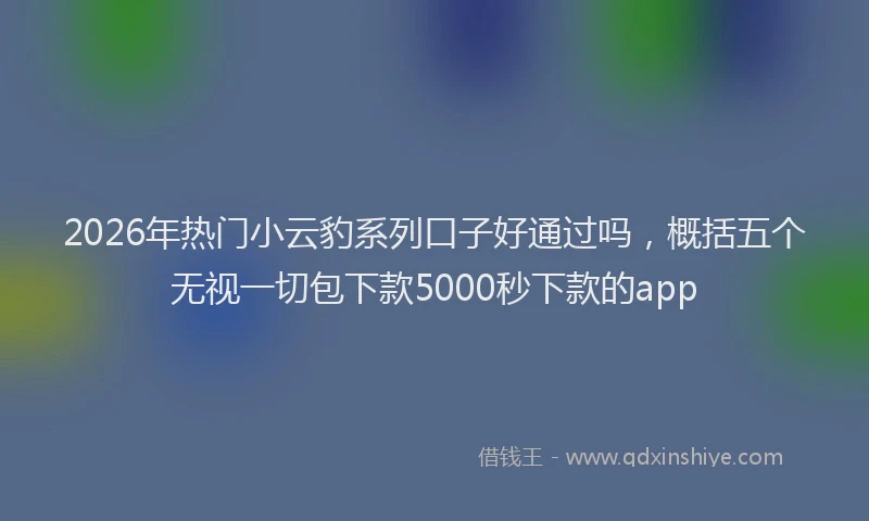 2026年热门小云豹系列口子好通过吗，概括五个无视一切包下款5000秒下款的app