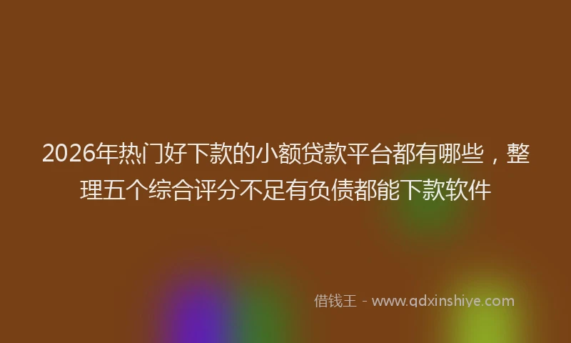 2026年热门好下款的小额贷款平台都有哪些，整理五个综合评分不足有负债都能下款软件