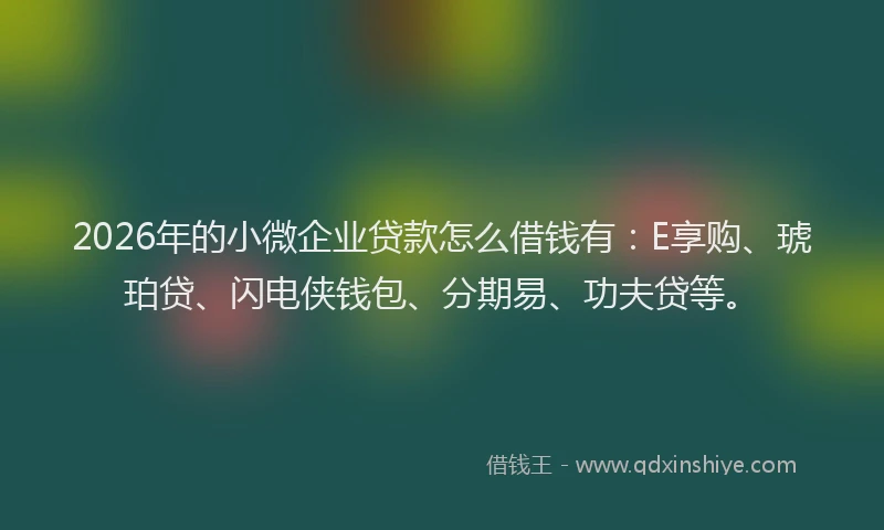 2026年的小微企业贷款怎么借钱有：E享购、琥珀贷、闪电侠钱包、分期易、功夫贷等。