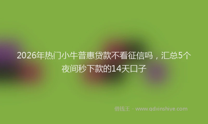 2026年热门小牛普惠贷款不看征信吗，汇总5个夜间秒下款的14天口子