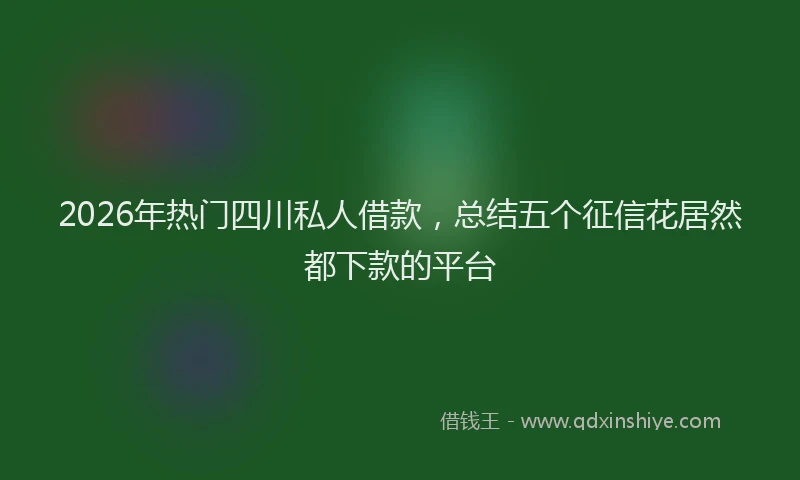 2026年热门四川私人借款，总结五个征信花居然都下款的平台