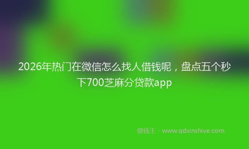 2026年热门在微信怎么找人借钱呢，盘点五个秒下700芝麻分贷款app