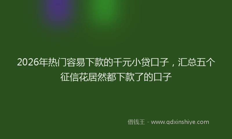 2026年热门容易下款的千元小贷口子，汇总五个征信花居然都下款了的口子