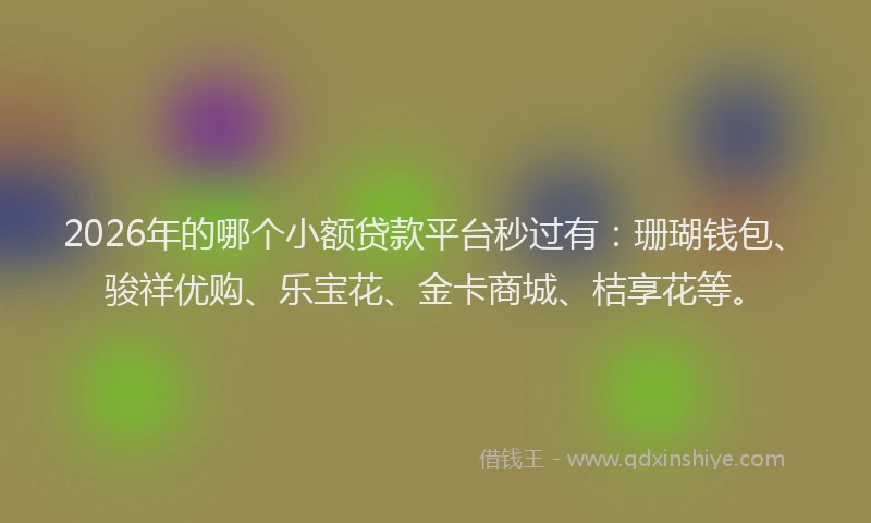 2026年的哪个小额贷款平台秒过有：珊瑚钱包、骏祥优购、乐宝花、金卡商城、桔享花等。