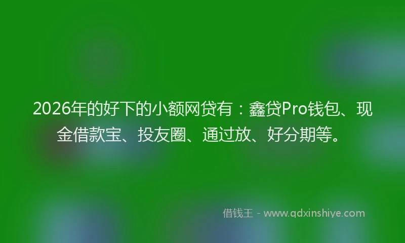 2026年的好下的小额网贷有：鑫贷Pro钱包、现金借款宝、投友圈、通过放、好分期等。