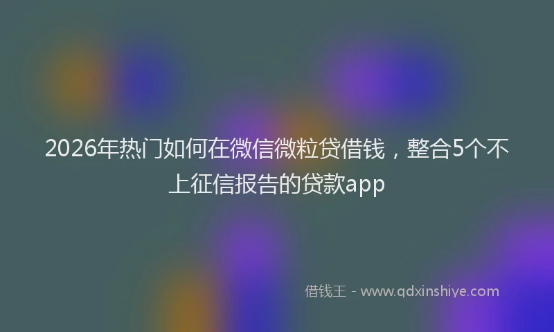 2026年热门如何在微信微粒贷借钱，整合5个不上征信报告的贷款app