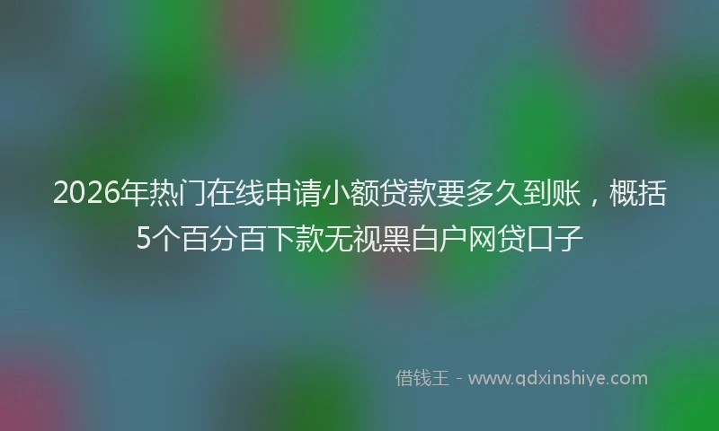 2026年热门在线申请小额贷款要多久到账，概括5个百分百下款无视黑白户网贷口子