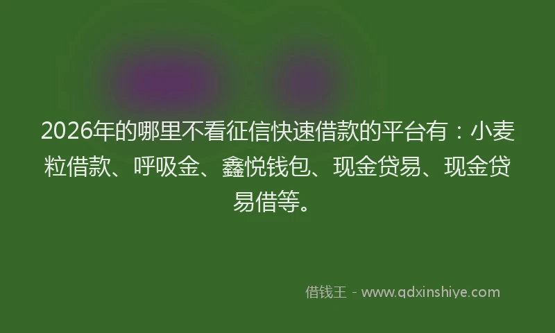 2026年的哪里不看征信快速借款的平台有：小麦粒借款、呼吸金、鑫悦钱包、现金贷易、现金贷易借等。