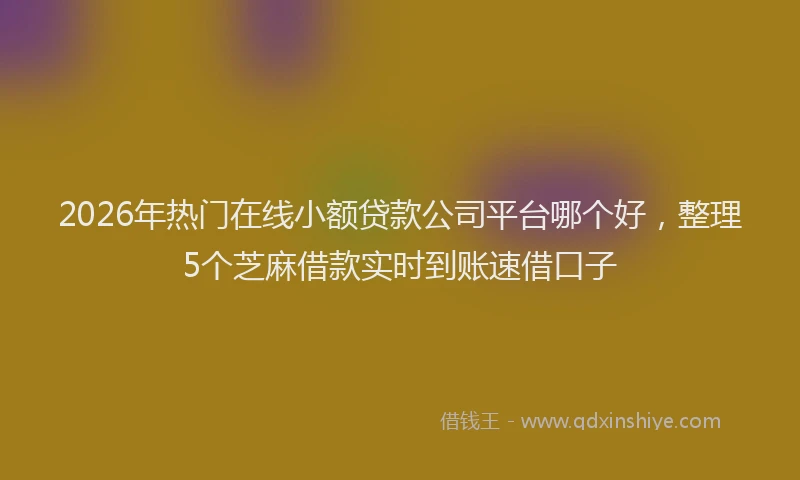 2026年热门在线小额贷款公司平台哪个好，整理5个芝麻借款实时到账速借口子