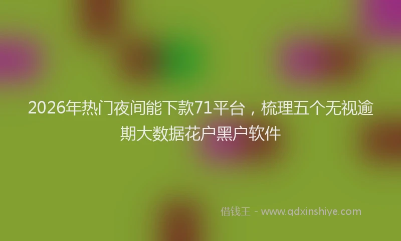 2026年热门夜间能下款71平台，梳理五个无视逾期大数据花户黑户软件