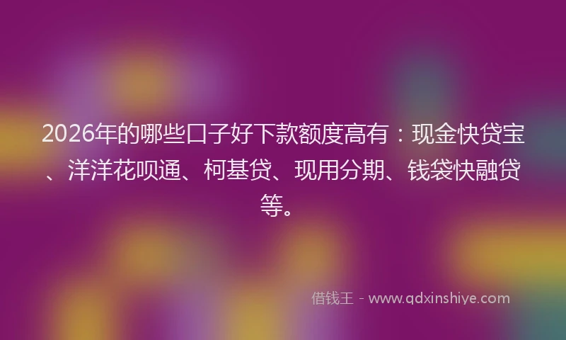 2026年的哪些口子好下款额度高有：现金快贷宝、洋洋花呗通、柯基贷、现用分期、钱袋快融贷等。